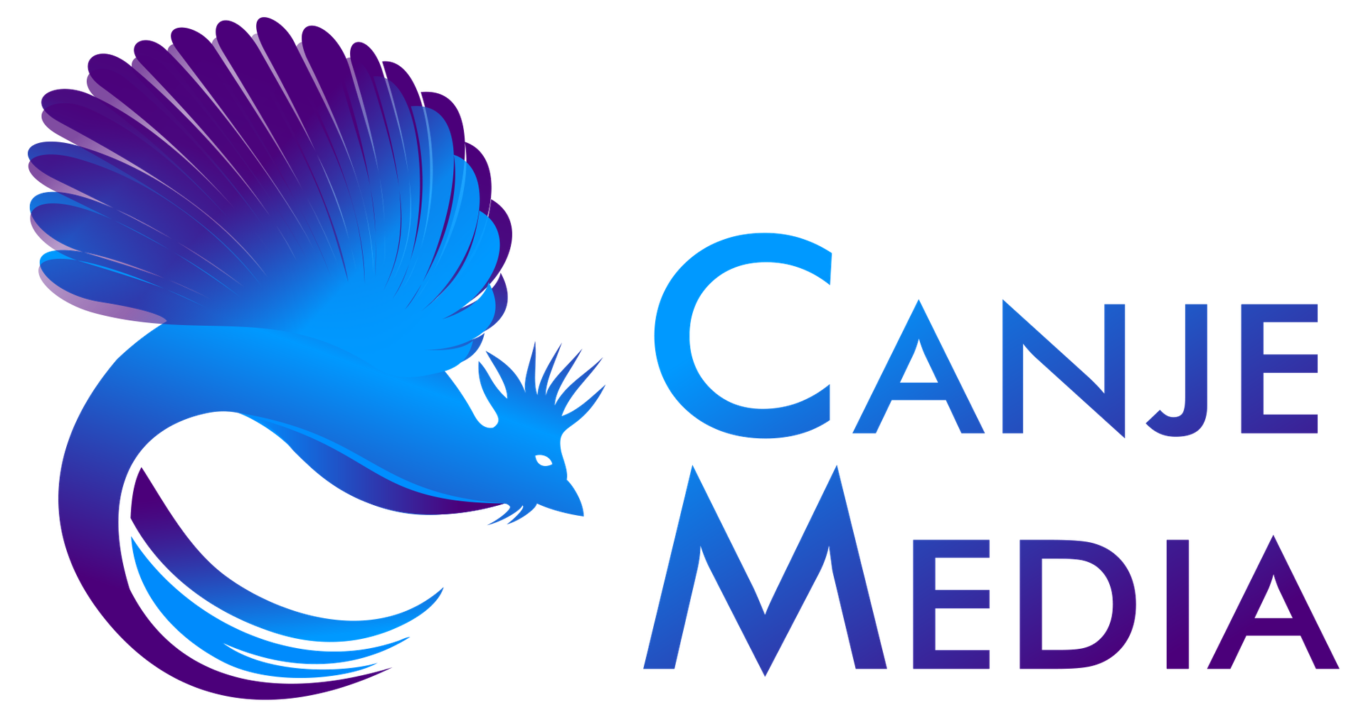 Canje Media logo